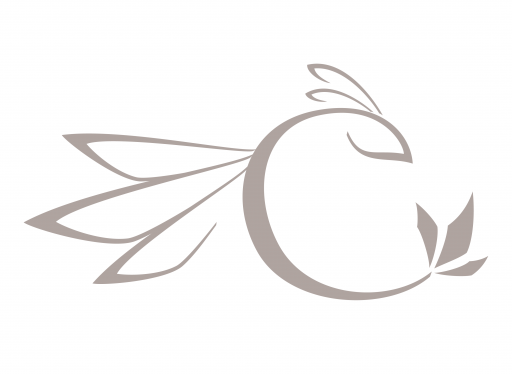 Zurück zur Startseite